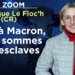 Face à Macron, nous sommes des esclaves – Le Zoom  – Véronique Le Floc’h (Coordination rurale) – TVL