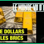 La monnaie des Brics ne sera pas le dollar – Le Monde vu d’en bas – n°120