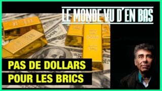 La monnaie des Brics ne sera pas le dollar – Le Monde vu d’en bas – n°120