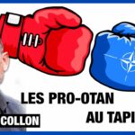 Michel Collon met K.O les pro-OTAN