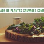 Une salade de plantes sauvages comestibles 🌱