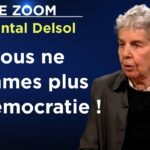 Crise de la démocratie : Vivement une bonne dictature ? – Le Zoom – Chantal Delsol – TVL