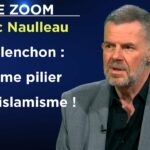 Grandeur et déchéance du camarade Mélenchon – Le Zoom – Eric Naulleau – TVL