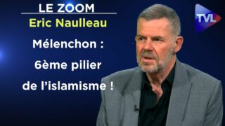 Grandeur et déchéance du camarade Mélenchon – Le Zoom – Eric Naulleau – TVL