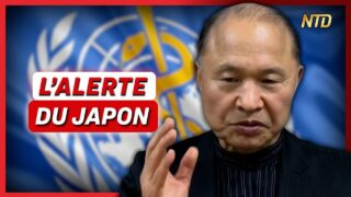 Japon : manifestations contre le traité de l’OMS ; Rassemblement contre l’A69 en France | NTD L’Actu
