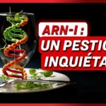 ARN- I : Un pesticide génétique qui pose question ; Le jugement de Pierre Palmade | NTD L’Actu