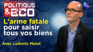 Dépossession planétaire : urgence d’une monnaie Or et Argent – Poleco N°435 avec Ludovic Malot