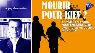 Séparatisme en France : les nouvelles guerres de sécession – Le Plus d’Eléments – TVL