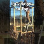 Un Potager au Top et en 3D  #jardin #potager
