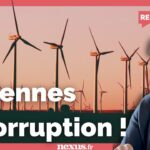 Éoliennes et corruption : une femme en colère