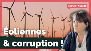 Éoliennes et corruption : une femme en colère