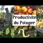 Quelle est la Productivité d’un Potager ? (avec 20 légumes incontournables)