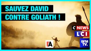 Sauvez David contre Goliath ! – Appel de Michel Collon et son équipe