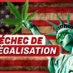 USA : Les cartels dominent le marché du cannabis ; Attaque terroriste en Russie | NTD L’Actu