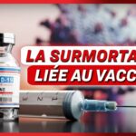 Vaccins covid : contributeurs de la surmortalité ? ; Déclaration des rebelles Houthis | NTD L’Actu