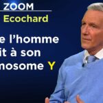 Différences homme-femme : les révélations des neurosciences ! – Le Zoom – René Ecochard – TVL