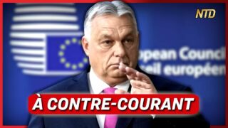 La diplomatie d’Orbán irrite l’UE ; Larcher s’oppose à un 1er ministre du NFP | NTD L’Actu
