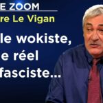 Wokisme : une expérience pour vous domestiquer – Le Zoom – Pierre Le Vigan – TVL