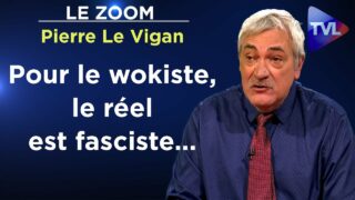 Wokisme : une expérience pour vous domestiquer – Le Zoom – Pierre Le Vigan – TVL