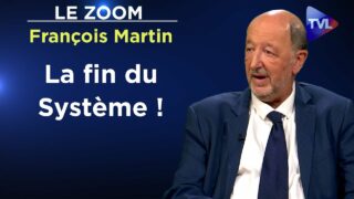 La chute du Système est inéluctable ! – Le Zoom – François Martin – TVL