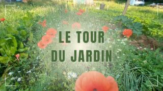 Le tour du jardin