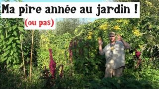 Ma pire année au jardin ! (ou pas)