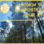 1800km sur compostelle jour 14 Bernos-beaulac Roquefort 43km km #voiedevezelay