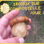 1800km sur compostelle jour 18 Orthez Saint Palais 36km #voiedevezelay