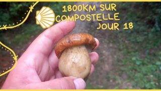 1800km sur compostelle jour 18 Orthez Saint Palais 36km #voiedevezelay