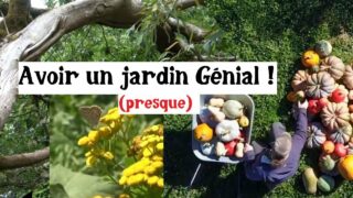 Comment avoir un jardin incroyablement génial ? (La réponse est dans la biodiversité !)