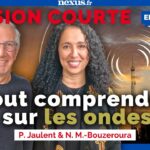 Comment vivre avec les ondes ? Danger et solutions avec P. Jaulent et N. M.-Bouzeroura