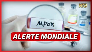 Mpox : l’alerte sanitaire mondiale est-elle justifiée ? ; Un nouvel incendie d’Église | NTD L’Actu