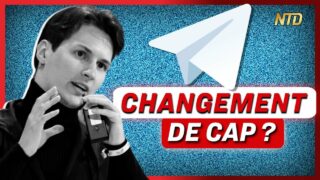 Telegram : vers une modération plus stricte ; Manifestations en France | NTD L’Actu