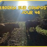 1800km sur compostelle jour 46 Escamplero – Monastère Cornellana 26km #caminoprimitivo