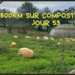 1800km sur compostelle jour 53 Lugo – Bacurín 18km #caminoprimitivo