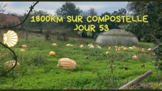 1800km sur compostelle jour 53 Lugo – Bacurín 18km #caminoprimitivo