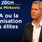 A la veille des élections, l’empire US est nu ! – Le Zoom – Nikola Mirkovic – TVL