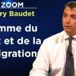 Aux  Pays-Bas, le dirigeant qui prône le Nexit et la remigration ! – Le Zoom – Thierry Baudet – TVL