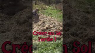 Créer un Sol Fertile #permaculture