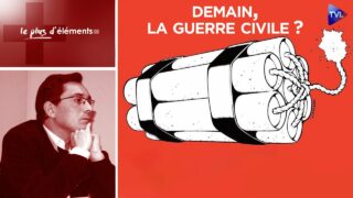 Demain, la guerre civile ? Grande-Bretagne, France, USA… – Le Plus d’Eléments – TVL