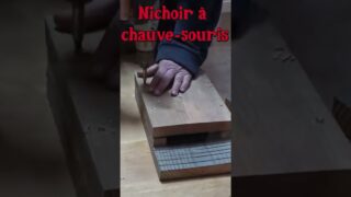 Nichoir pour chauve-souris  #serre #jardine #quefairedansmonjardin