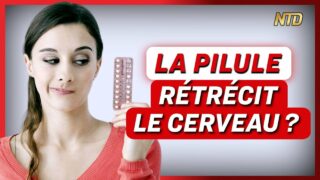 Pilule Contraceptive : Une scientifique se scanne 75 fois le cerveau pour en savoir plus