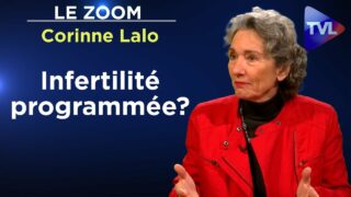 Bientôt tous stériles ? – Le  Zoom – Corinne Lalo – TVL