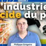 Censuré par BFM, cet agriculteur témoigne chez nous – Philippe Grégoire