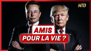 Comment Musk a dopé la campagne de Trump, et pourquoi ça pourrait mal tourner