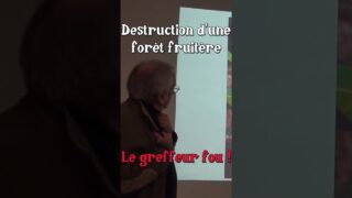 Destruction d’une Forêt Fruitière ! (Maurice Chaudière) #forêt  #fruit