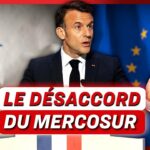 Emmanuel Macron peut-il vraiment empêcher cet accord ?