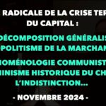 Francis Cousin : Gazette radicale de la crise terminale du Capital – Novembre 2024