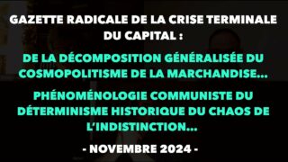 Francis Cousin : Gazette radicale de la crise terminale du Capital – Novembre 2024