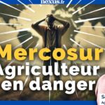 MERCOSUR = SUICIDE D’AGRICULTEURS ? Sébastien Béraud sonne l’alerte